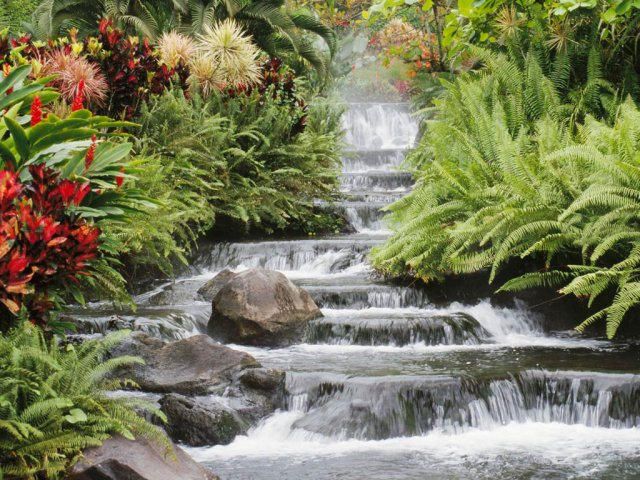 Waterfall.jpg,  bytes
